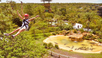 Gatorland